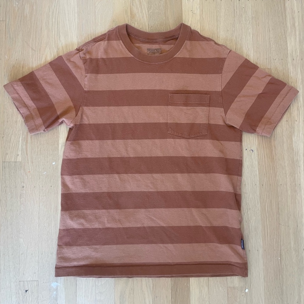 Patagonia striped tee